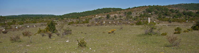 Paysage sur le causse de Blandas